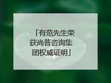 有范先生荣获尚普咨询集团权威证明
