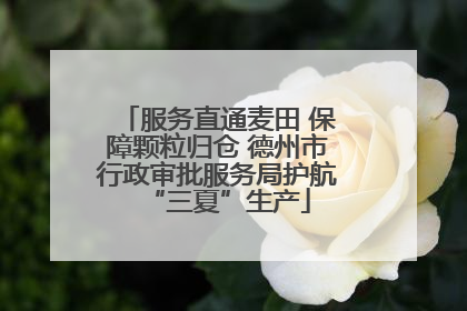 服务直通麦田 保障颗粒归仓 德州市行政审批服务局护航“三夏”生产