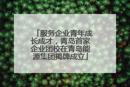 服务企业青年成长成才，青岛首家企业团校在青岛能源集团揭牌成立