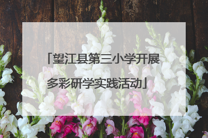 望江县第三小学开展多彩研学实践活动