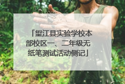 望江县实验学校本部校区一、二年级无纸笔测试活动侧记