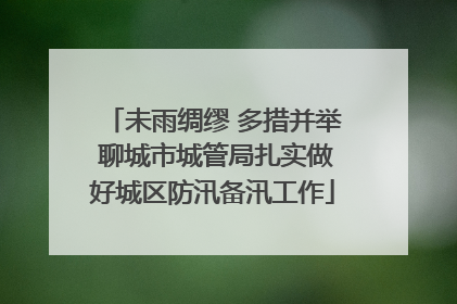 未雨绸缪 多措并举 聊城市城管局扎实做好城区防汛备汛工作