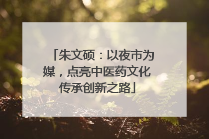 朱文硕：以夜市为媒，点亮中医药文化传承创新之路