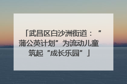 武昌区白沙洲街道：“蒲公英计划”为流动儿童筑起“成长乐园”