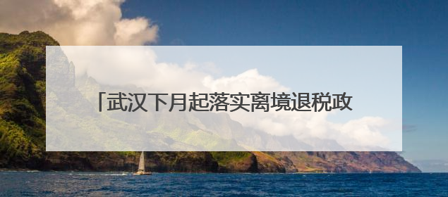 武汉下月起落实离境退税政策 33家企业具备资质