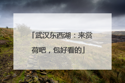 武汉东西湖：来赏荷吧，包好看的