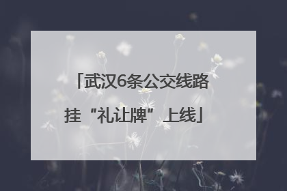 武汉6条公交线路挂“礼让牌”上线