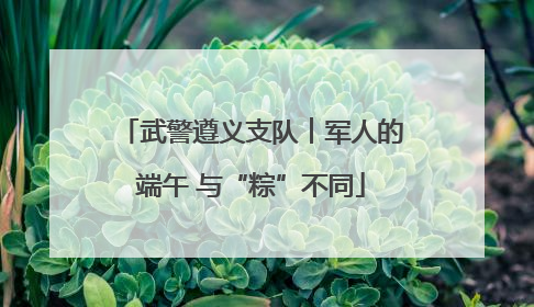武警遵义支队︱军人的端午 与“粽”不同