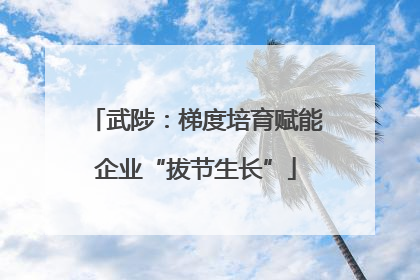 武陟：梯度培育赋能企业“拔节生长”