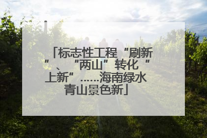 标志性工程“刷新”、“两山”转化“上新”……海南绿水青山景色新