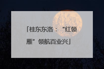 桂东东洛：“红领雁”领航百业兴