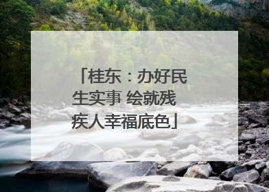 桂东：办好民生实事 绘就残疾人幸福底色