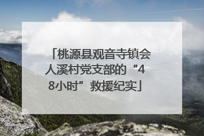 桃源县观音寺镇会人溪村党支部的“48小时”救援纪实