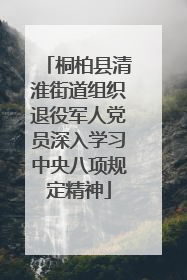 桐柏县清淮街道组织退役军人党员深入学习中央八项规定精神