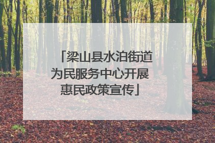 梁山县水泊街道为民服务中心开展惠民政策宣传