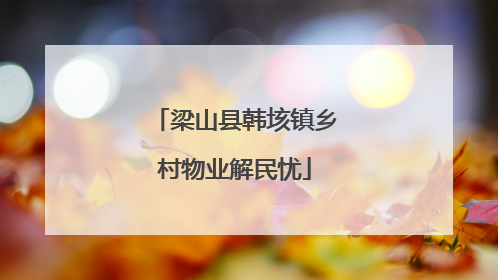 梁山县韩垓镇乡村物业解民忧