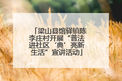 梁山县馆驿镇陈李庄村开展“普法进社区‘典’亮新生活”宣讲活动