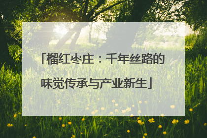 榴红枣庄：千年丝路的味觉传承与产业新生