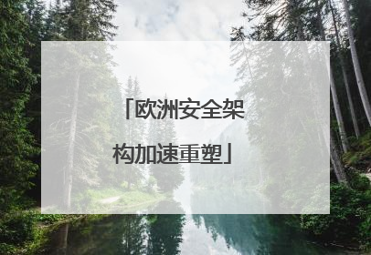 欧洲安全架构加速重塑