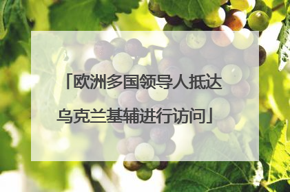 欧洲多国领导人抵达乌克兰基辅进行访问