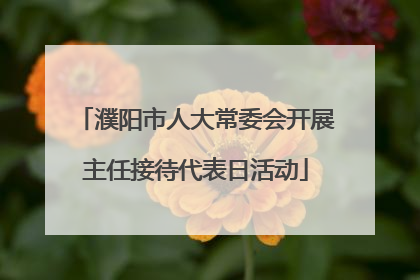 濮阳市人大常委会开展主任接待代表日活动