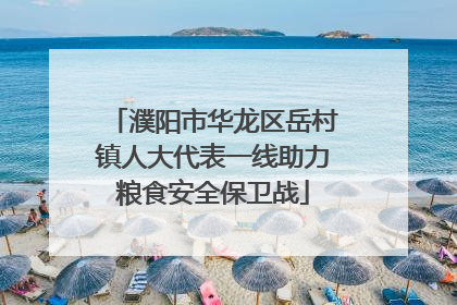 濮阳市华龙区岳村镇人大代表一线助力粮食安全保卫战