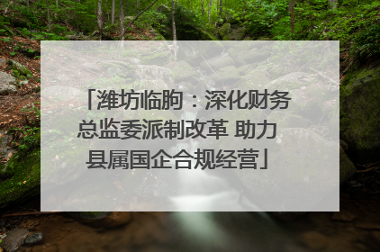 潍坊临朐：深化财务总监委派制改革 助力县属国企合规经营