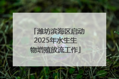 潍坊滨海区启动2025年水生生物增殖放流工作