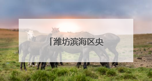 潍坊滨海区央子街道多举措筑牢安全防线