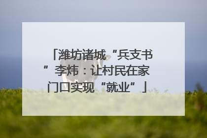 潍坊诸城“兵支书”李炜：让村民在家门口实现“就业”