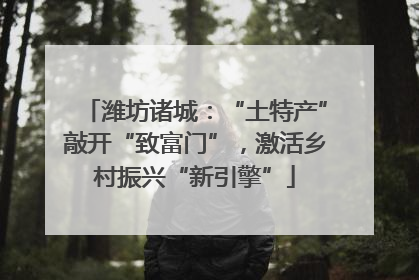 潍坊诸城：“土特产”敲开“致富门”，激活乡村振兴“新引擎”