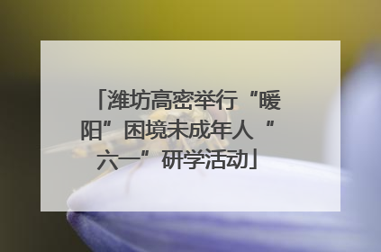 潍坊高密举行“暖阳”困境未成年人“六一”研学活动