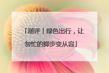 潮评丨绿色出行，让匆忙的脚步变从容