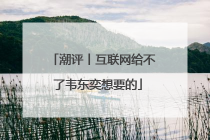 潮评丨互联网给不了韦东奕想要的