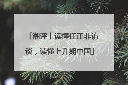 潮评丨读懂任正非访谈，读懂上升期中国