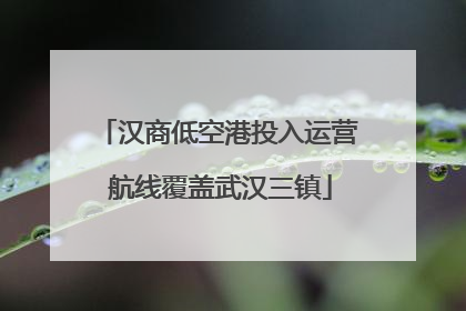 汉商低空港投入运营 航线覆盖武汉三镇