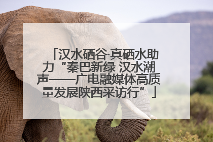汉水硒谷·真硒水助力“秦巴新绿 汉水潮声——广电融媒体高质量发展陕西采访行”