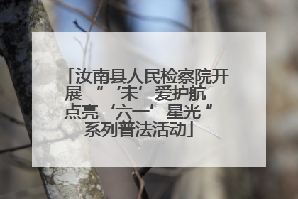 汝南县人民检察院开展 “‘未’爱护航 点亮‘六一’星光 ”系列普法活动