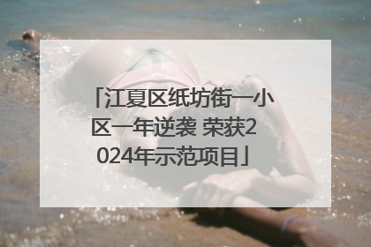 江夏区纸坊街一小区一年逆袭 荣获2024年示范项目