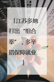 江苏多地打出“组合拳”，多举措保障就业