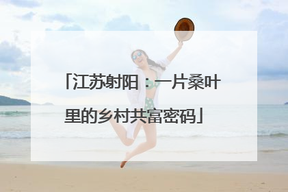 江苏射阳：一片桑叶里的乡村共富密码