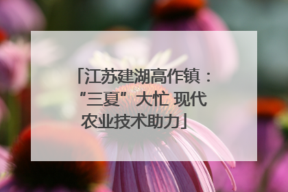 江苏建湖高作镇：“三夏”大忙 现代农业技术助力