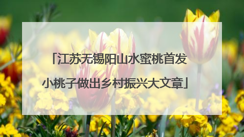江苏无锡阳山水蜜桃首发 小桃子做出乡村振兴大文章
