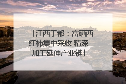 江西于都：富硒西红柿集中采收 精深加工延伸产业链