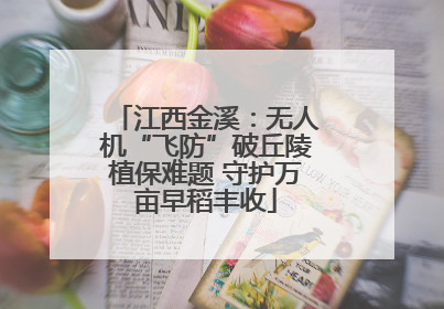江西金溪：无人机“飞防”破丘陵植保难题 守护万亩早稻丰收
