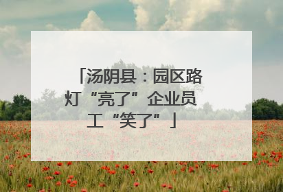 汤阴县：园区路灯“亮了”企业员工“笑了”