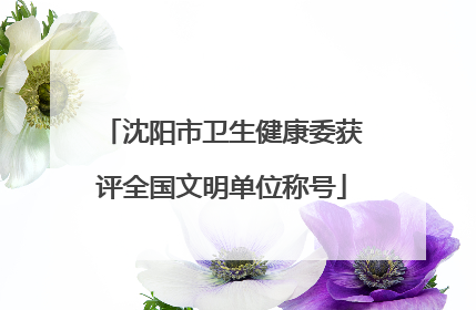沈阳市卫生健康委获评全国文明单位称号
