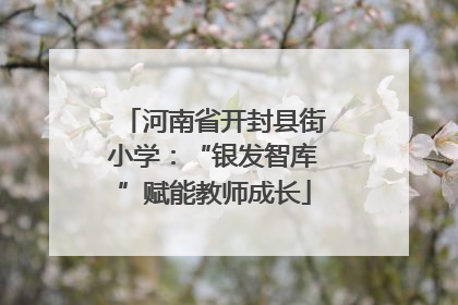 河南省开封县街小学：“银发智库”赋能教师成长