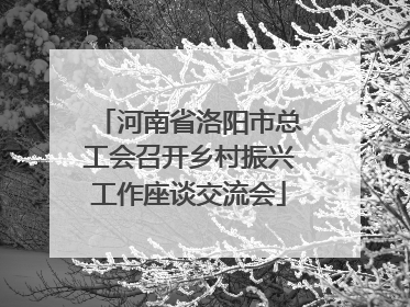 河南省洛阳市总工会召开乡村振兴工作座谈交流会