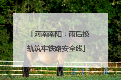 河南南阳：雨后换轨筑牢铁路安全线